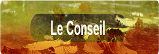 Le Conseil